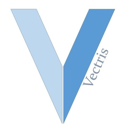 Vectris Consulting